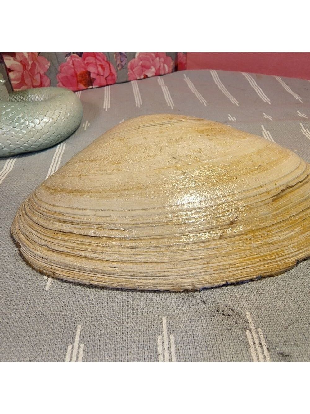 DECOUPAGE CLAM SHELL DECOUPAGE BLUE FLOWERS 💐 ON A CLAM SHELL TRINKET DISH - Picture 10 of 10